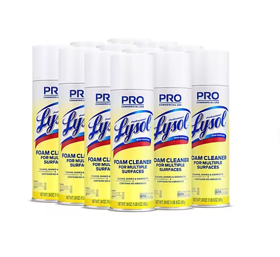 Lysol Professional Foam Cleaner for Multiple Surfaces, Fresh Clean, 24 Oz., 12/Carton (3624102775CT)